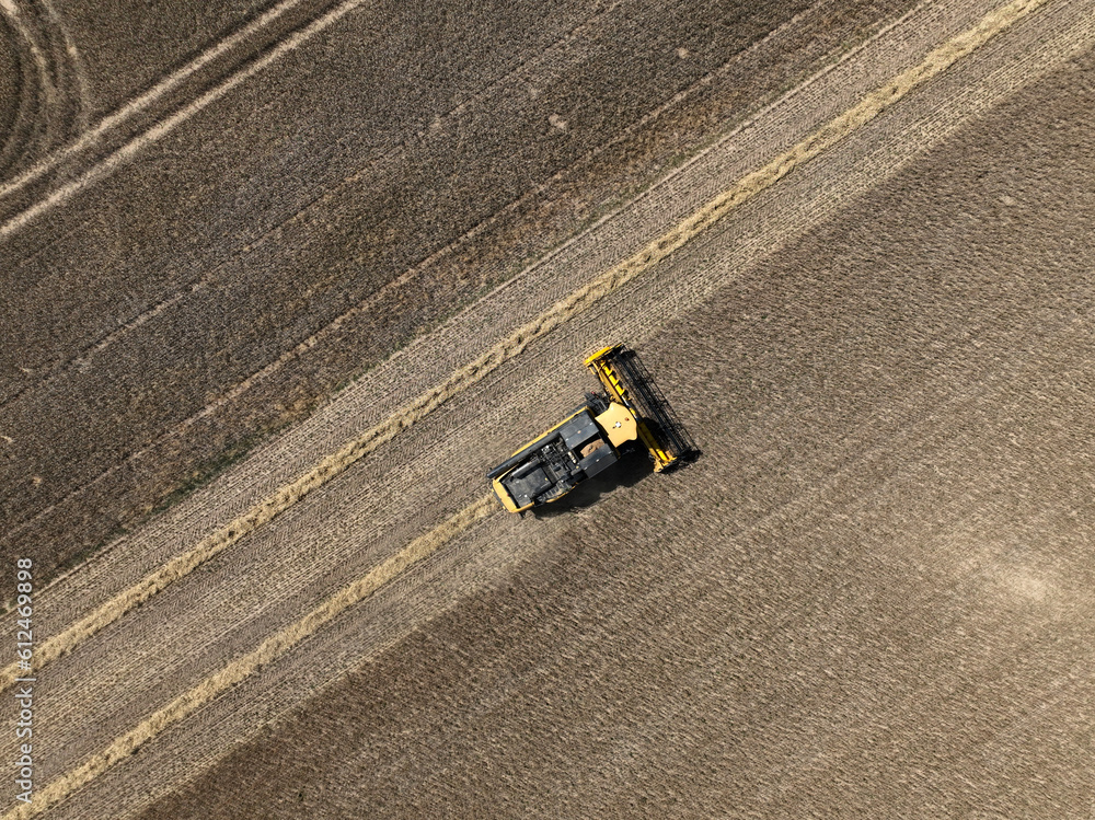 Aerial shot of a truck harvesting cereal from fields during the day