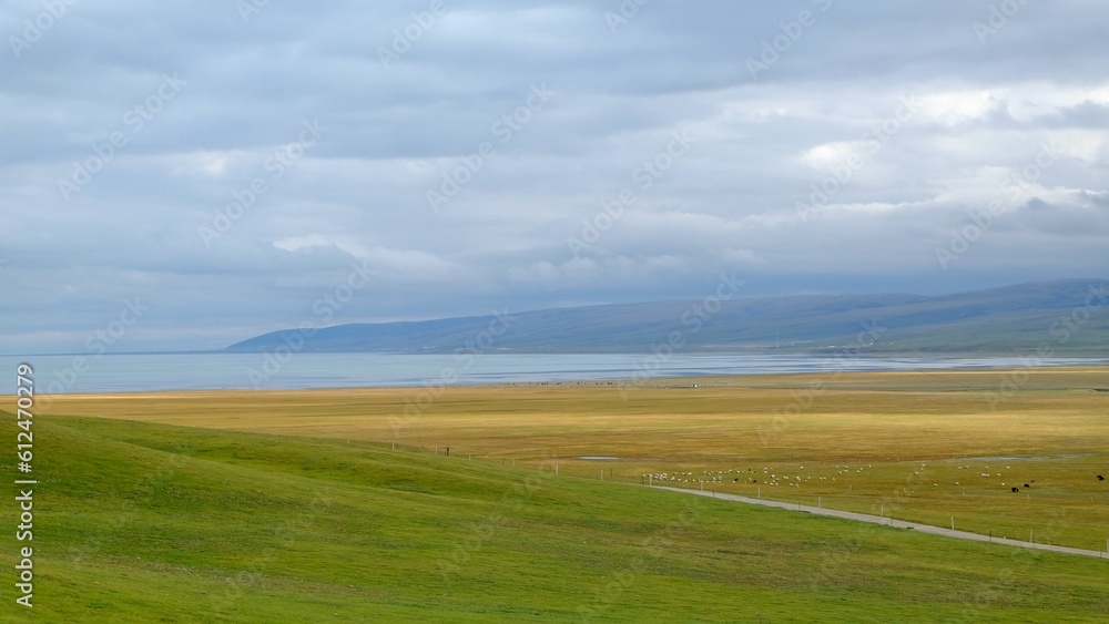 Landscape view of an isolated field with the Qinghai Lake in the background Landscape view of an isolated field with the Qinghai Lake in the background