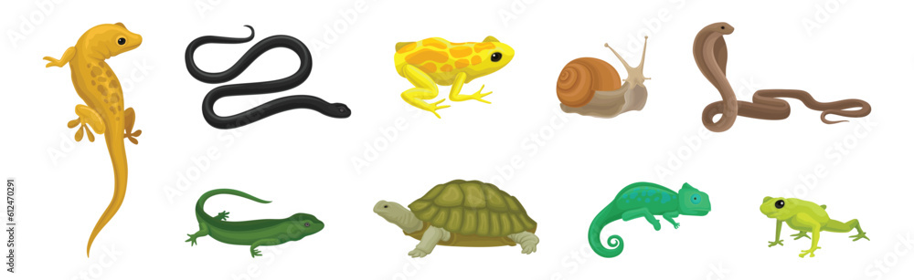 Wild Reptiles with Cobra, Turtle, Lizard and Snake Vector Set Wild Reptiles with Cobra, Turtle, Lizard and Snake Vector Set