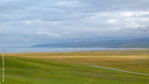 Landscape view of an isolated field with the Qinghai Lake in the background © Shimin Lu/Wirestock Creators