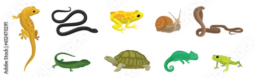 Wild Reptiles with Cobra, Turtle, Lizard and Snake Vector Set