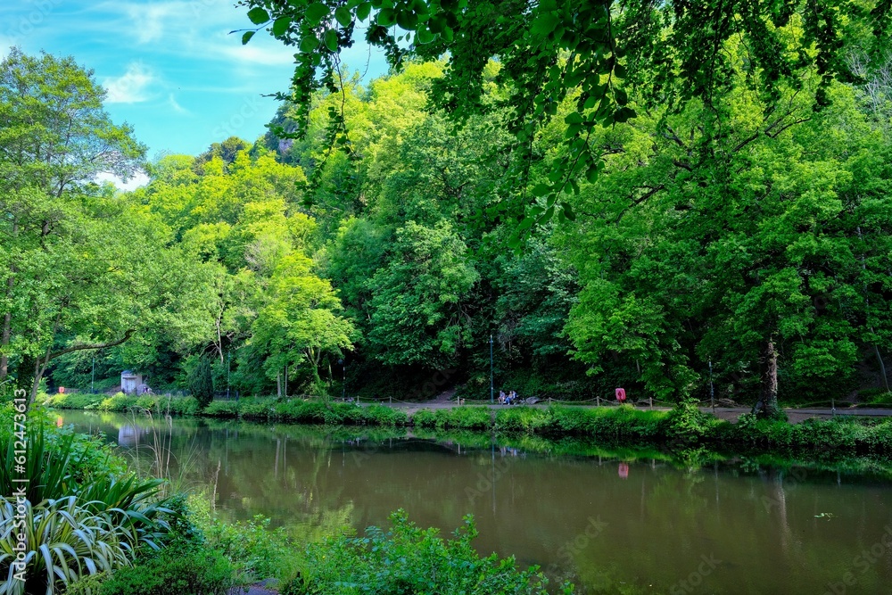 Beautiful landscape of a lake surrounded by a dense forest Beautiful landscape of a lake surrounded by a dense forest