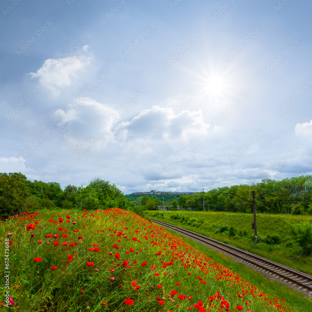 railway near hill covered by red poppy flowers railway near hill covered by red poppy flowers