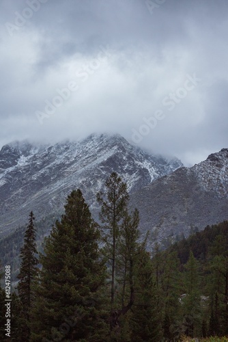 Vertical shot of mountains