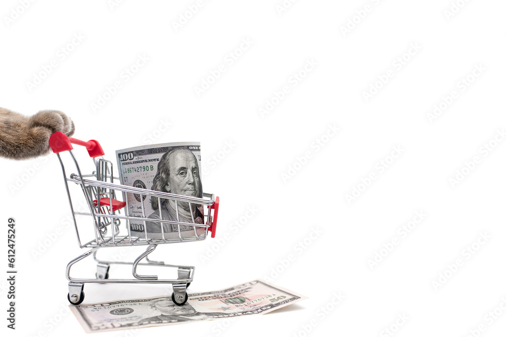 One hundred dollars in a toy shopping cart and gray cat paws on a white background. Gray fluffy paws of a cat are pushing a cart with dollars. Free space for text. Concept of buying and selling