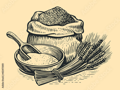Grain in burlap sack, bowl of flour with wooden scoop and wheat ears. Farm food. Vintage sketch vector illustration