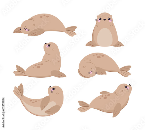 Cute Seal with Beige Fur and Fins Swimming, Sitting and Sleeping Vector Set
