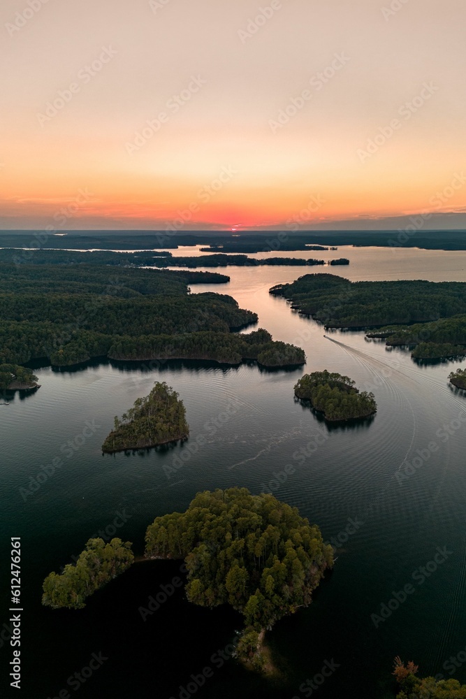 Aerial view of lake surrounded by dense trees