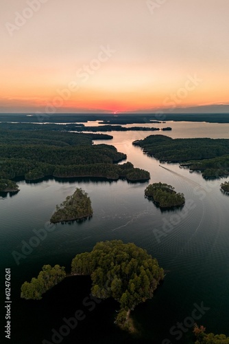 Aerial view of lake surrounded by dense trees
