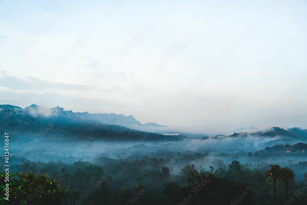 Scenic shot of a fog-covered landscape - great for backgrounds