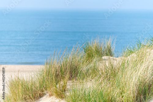 Sand dunes with marram grass and empty beach on Dutch coastline. Netherlands in overcast day. The dunes or dyke at Dutch north sea coast