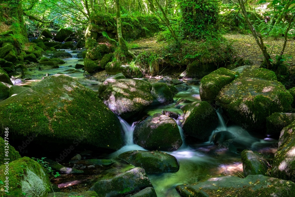 Natural landscape view of a small stream flowing through mossy rocks Natural landscape view of a small stream flowing through mossy rocks