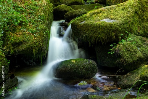 Natural landscape view of a small stream flowing through mossy rocks