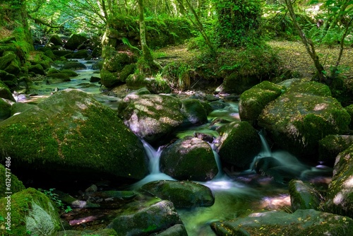 Natural landscape view of a small stream flowing through mossy rocks