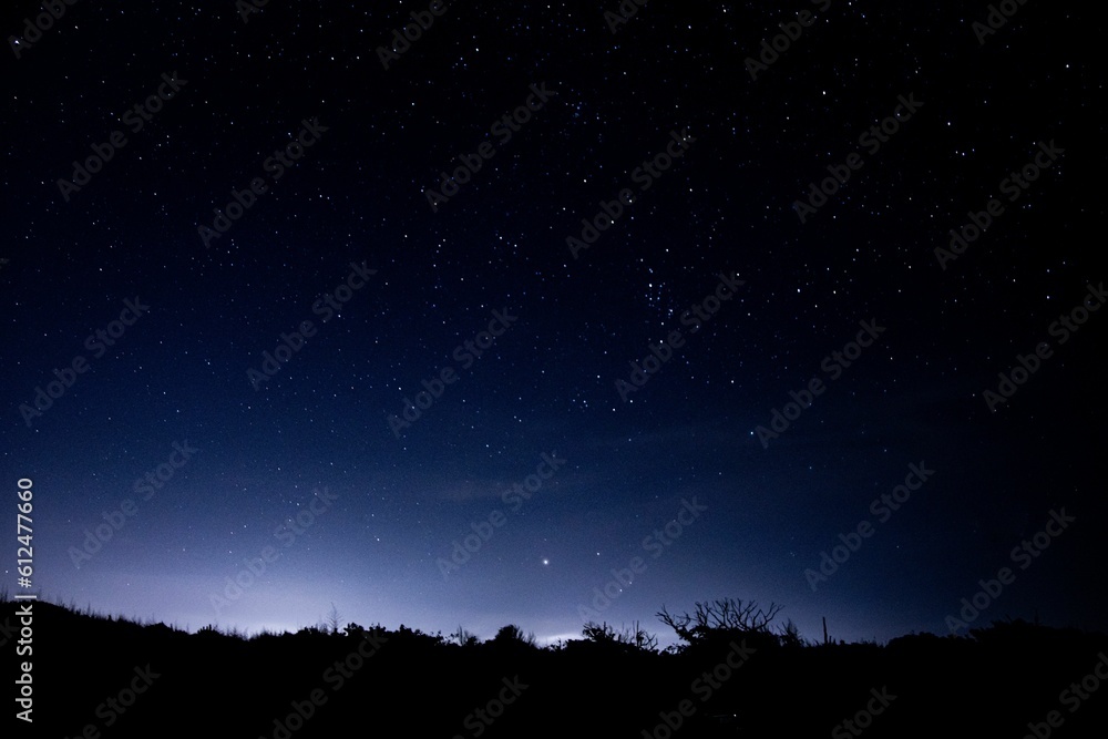 Mesmerizing view of the starry night sky
