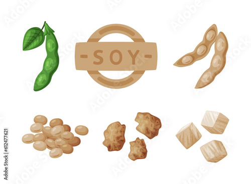 Natural Soy Products from Soybean Plant Vector Set
