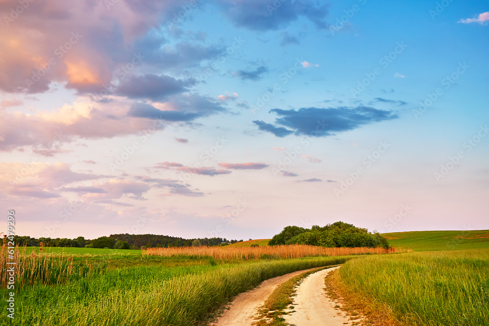 Naklejka premium Rural road in fields and meadows at sunset time in summer. Beautiful agriculture landscape with trees, hills, green grass, clouds. Dirt empty path in growing wheat and cereals panorama.