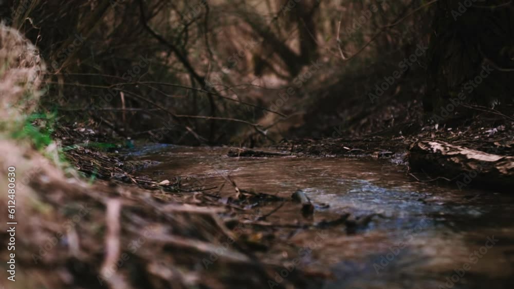 Flowing stream in the middle of the forest Flowing stream in the middle of the forest