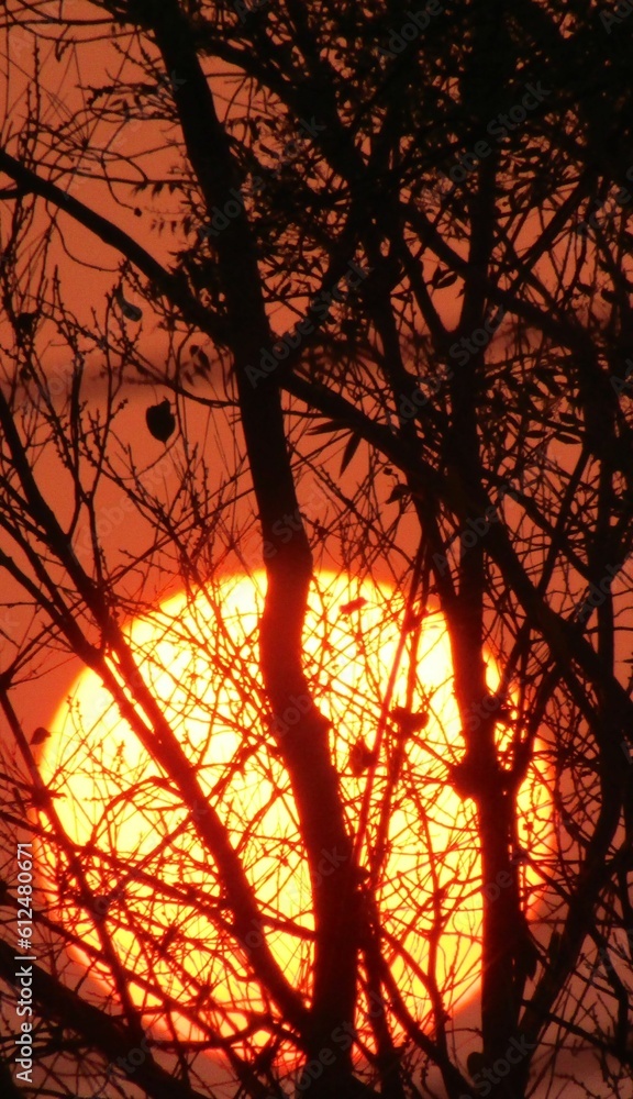 Vertical shot of a large glowing orange sun in a sunset sky Vertical shot of a large glowing orange sun in a sunset sky