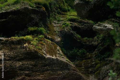 Closeup shot of details on mossy mountain rocks