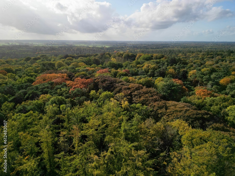 Aerial shot of a wide large forest during the autumn season in Utrechtse Heuvelrug the Netherlands