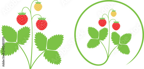Fotografie Wild strawberry logo. Isolated strawberry on white background