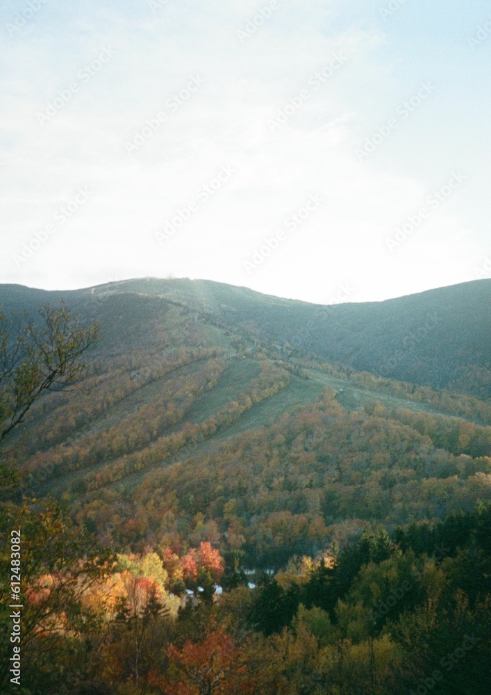 Vertical shot of a beautiful hill covered in colorful foliage during fall
