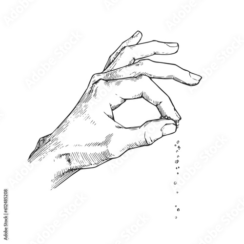 Vector vintage drawing of hand pouring spice isolated on a white background. Sketch of process salt sprinkle in engraving style.