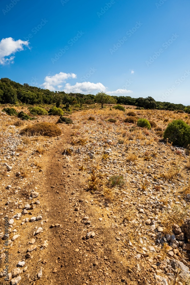 Cloudy blue sky over a nature landscape with dry part and greenery part