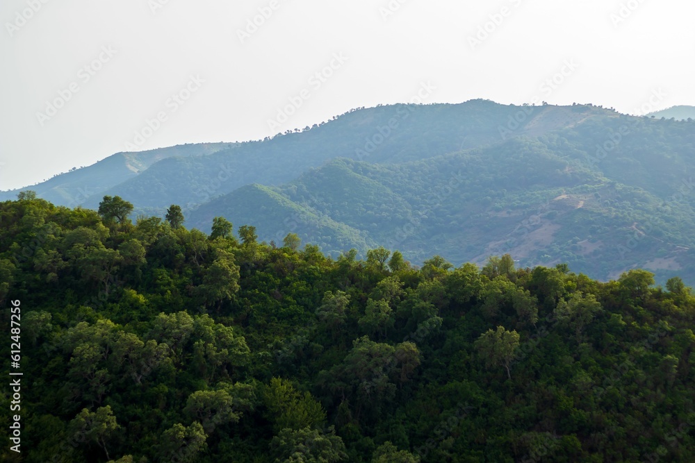 Magnificent view of a green forest, with a forested mountain in the mist in the background