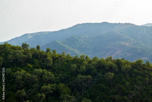 Magnificent view of a green forest, with a forested mountain in the mist in the background