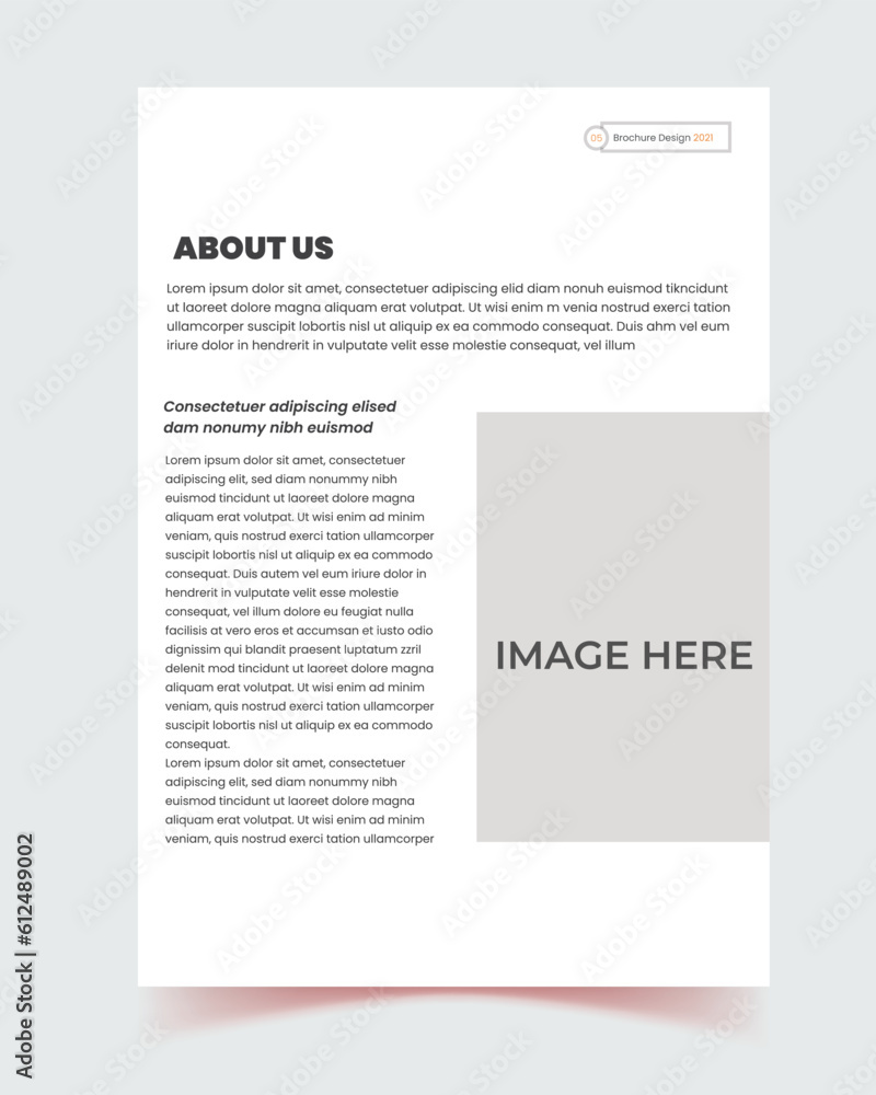 corporate company profile brochure, annual report, webinar banner design, booklet, business proposal layout concept design, book cover, vector design, banner