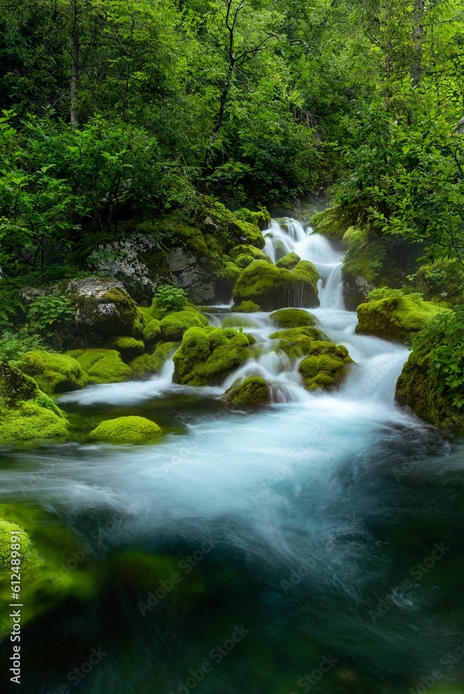 Obraz premium Landscape waterfall stream on river with mossy rocks and trees in Slovenia