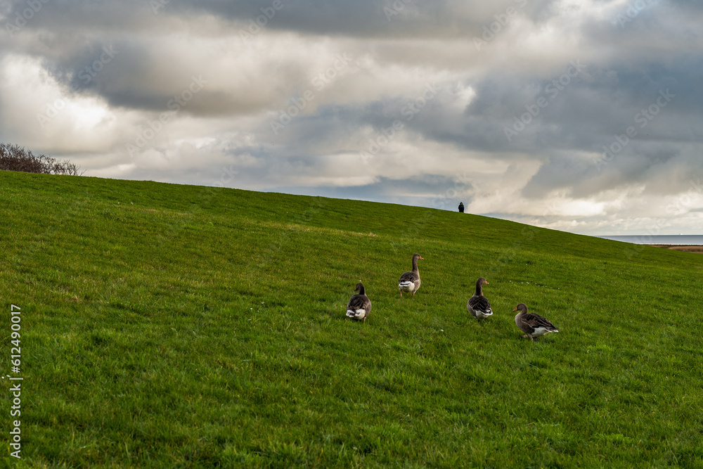 Dezembersparziergang in der Sonne Dezembersparziergang in der Sonne