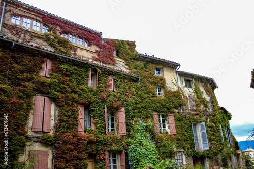 Beautiful building facade overgrown with greenery