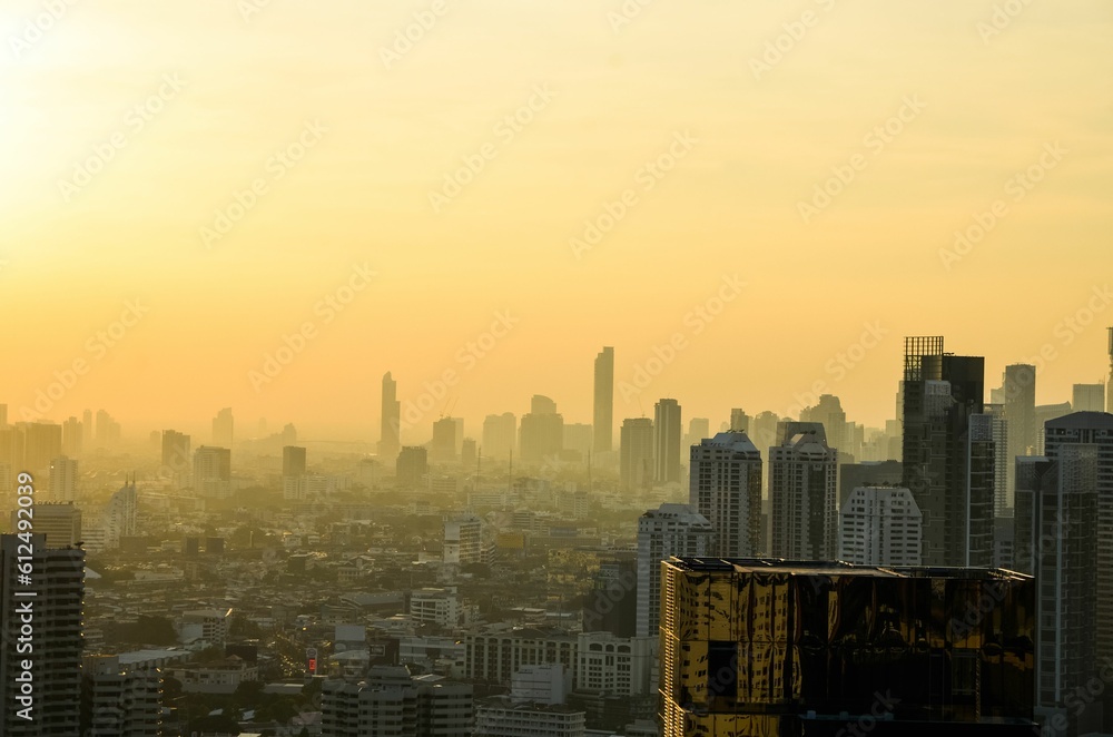 Aerial view of the downtown with modern skyscapers