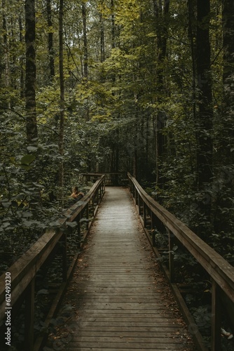 Vertical shot of a wooden boardwalk surrounded by foliage of a forest