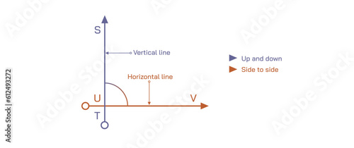 Vertical and horizontal line vector illustration. 2D coordination and 3D coordination system image. flat shape and object with height, width and length. Types of axes. Two dimensions and 3 dimensions.