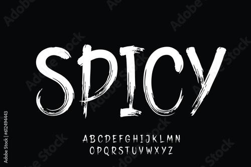 Creative spicy brush stroke style typeface display font vector illustration