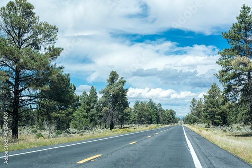 Straight asphalt road trees on both sides with a cloudy sky on the horizon © Burgie/Wirestock Creators