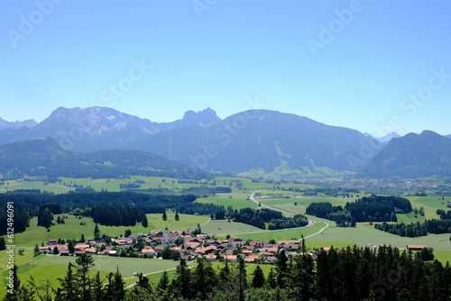Aerial shot of the small village in the green field with mountains in the backgrouund