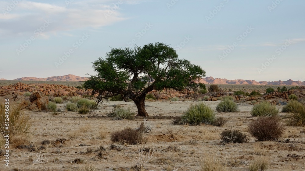 Naklejka premium Felsformationen in Namibia, Landschaftspanorama