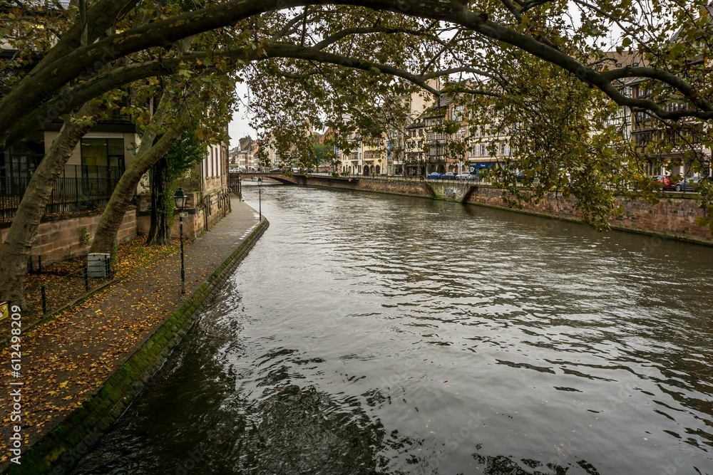 Beautiful view of a river and tilted trees in Strasbourg, France Beautiful view of a river and tilted trees in Strasbourg, France