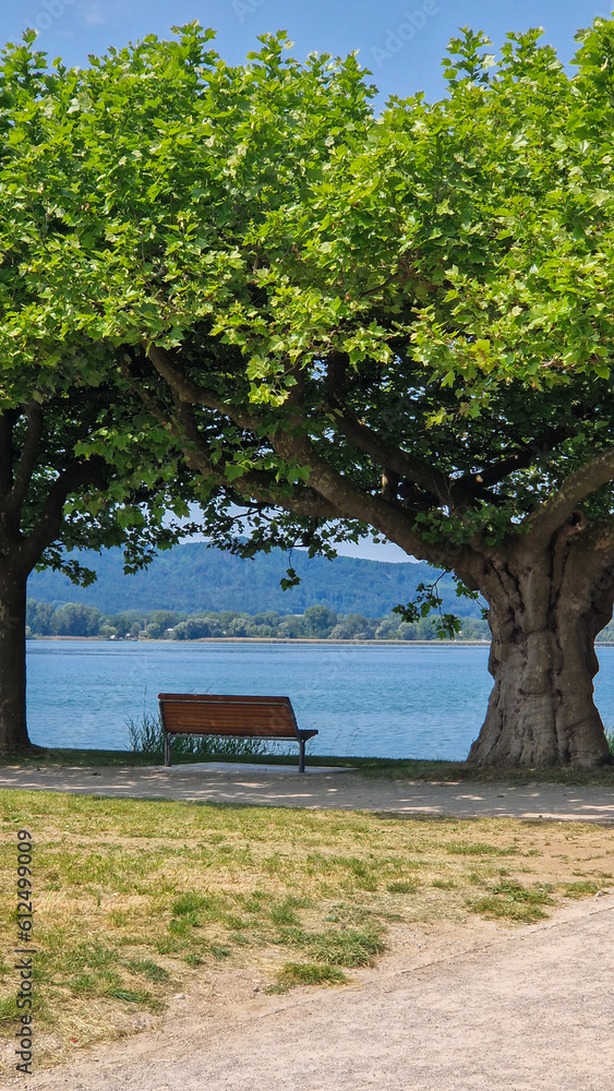 Sommer Urlaub am schönen Bodensee mit blauen Himmel und Sonnenschein Sommer Urlaub am schönen Bodensee mit blauen Himmel und Sonnenschein