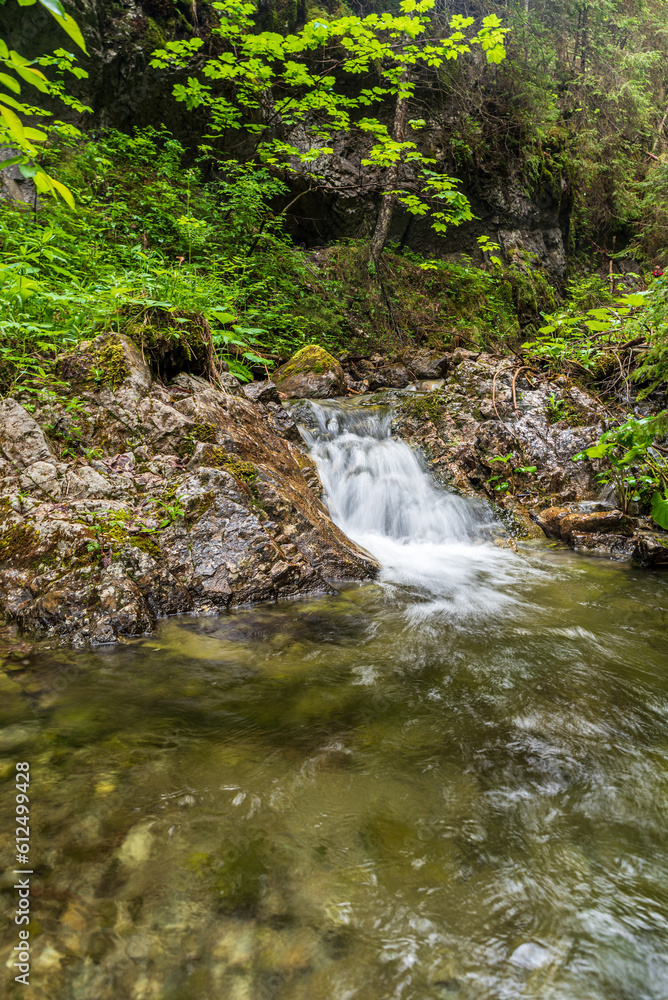 Small waterfall with pool bellow in Vyvieranie valley in Low Tatras mountains Small waterfall with pool bellow in Vyvieranie valley in Low Tatras mountains