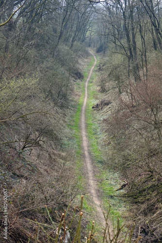 Pfad bei Pflaumheim photo