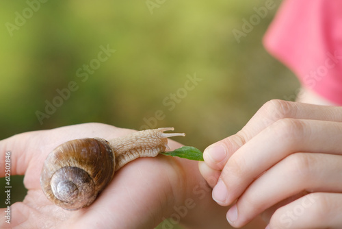 Fotografia beautiful grape snail sitting on child's hand, Teaching Children About Nature, i