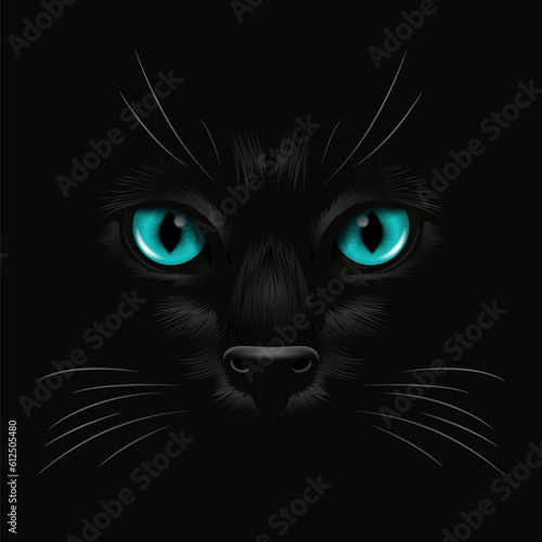 Photography Vector 3d Realistic Red Cats Eye of a Black Cat in the Dark, at Night