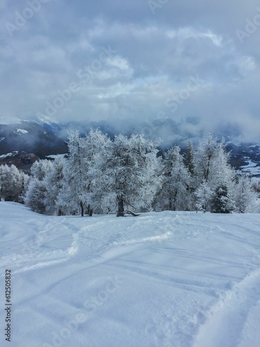 View of the nature landscape in South Tyrol from the ski slope during winter season © Romy Mclegne1/Wirestock Creators
