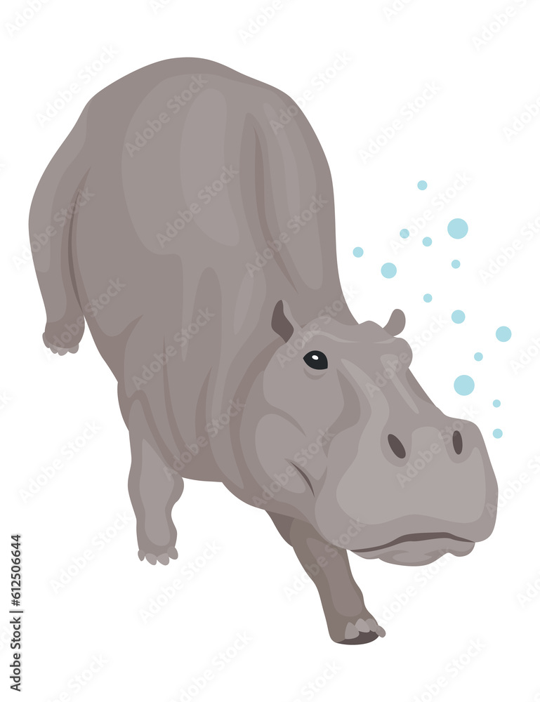 Fototapeta premium Hippo. Hippopotamus cartoon character. African animal, zoo and wildlife concept. Large gray wild creature walking on white background